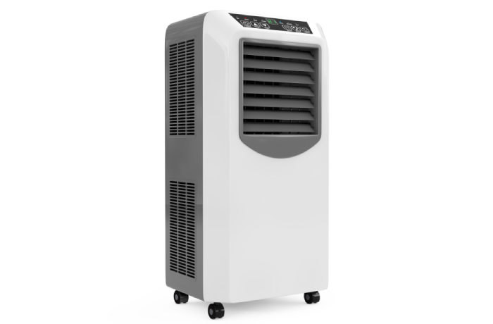 Portable AC Units