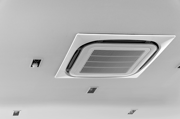 Carpentry maintenance